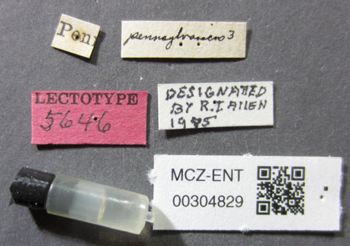 Media type: image;   Entomology 304829 Aspect: labels
